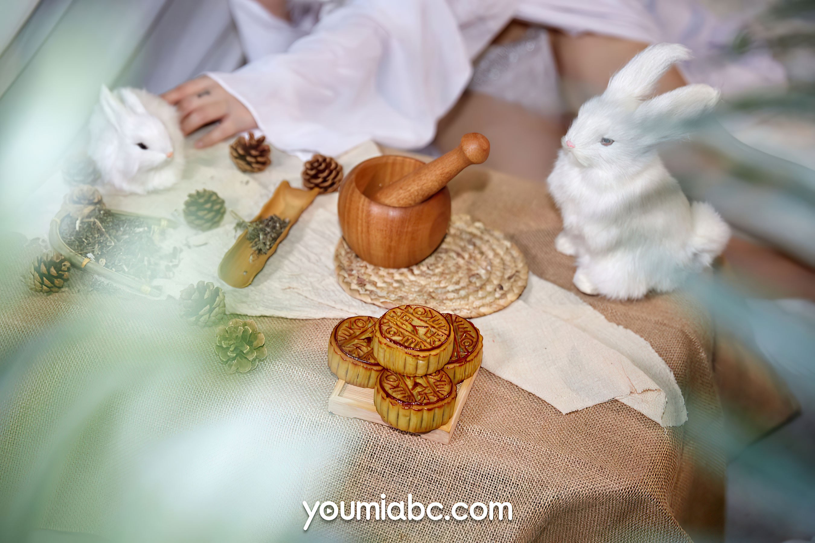 [尤蜜YouMiabc]  尹兒 欲兔东升（70P）