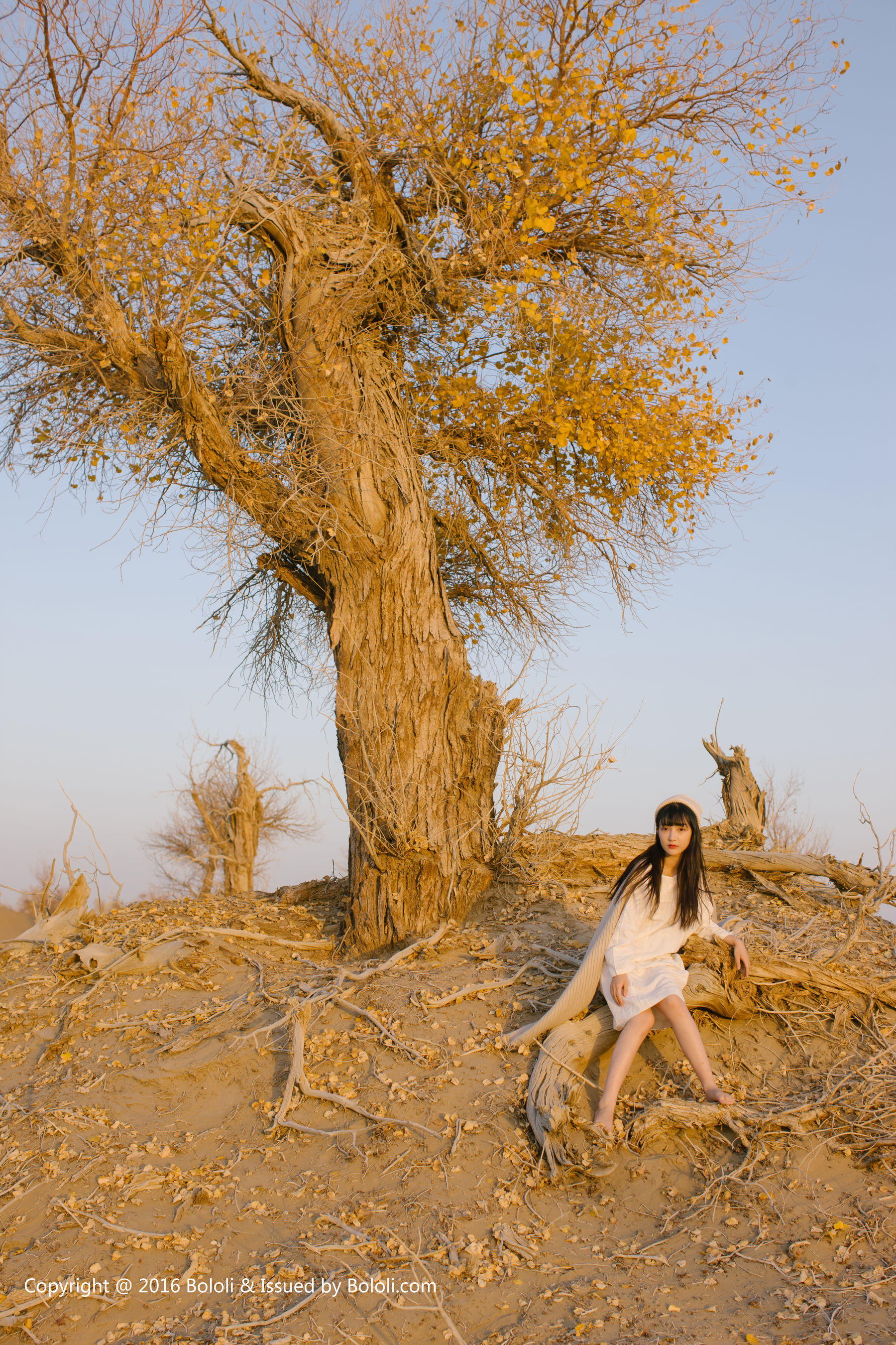 王之应《沙漠之应》 [Kimoe激萌文化] KIM009（40P）