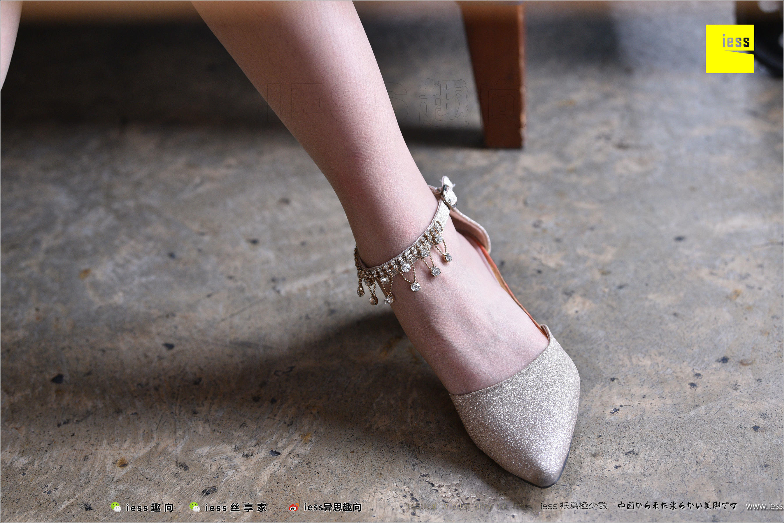 暖暖《长丝和10片天然粉红的花瓣》 [异思趣向IESS] 丝足便当217（99P）