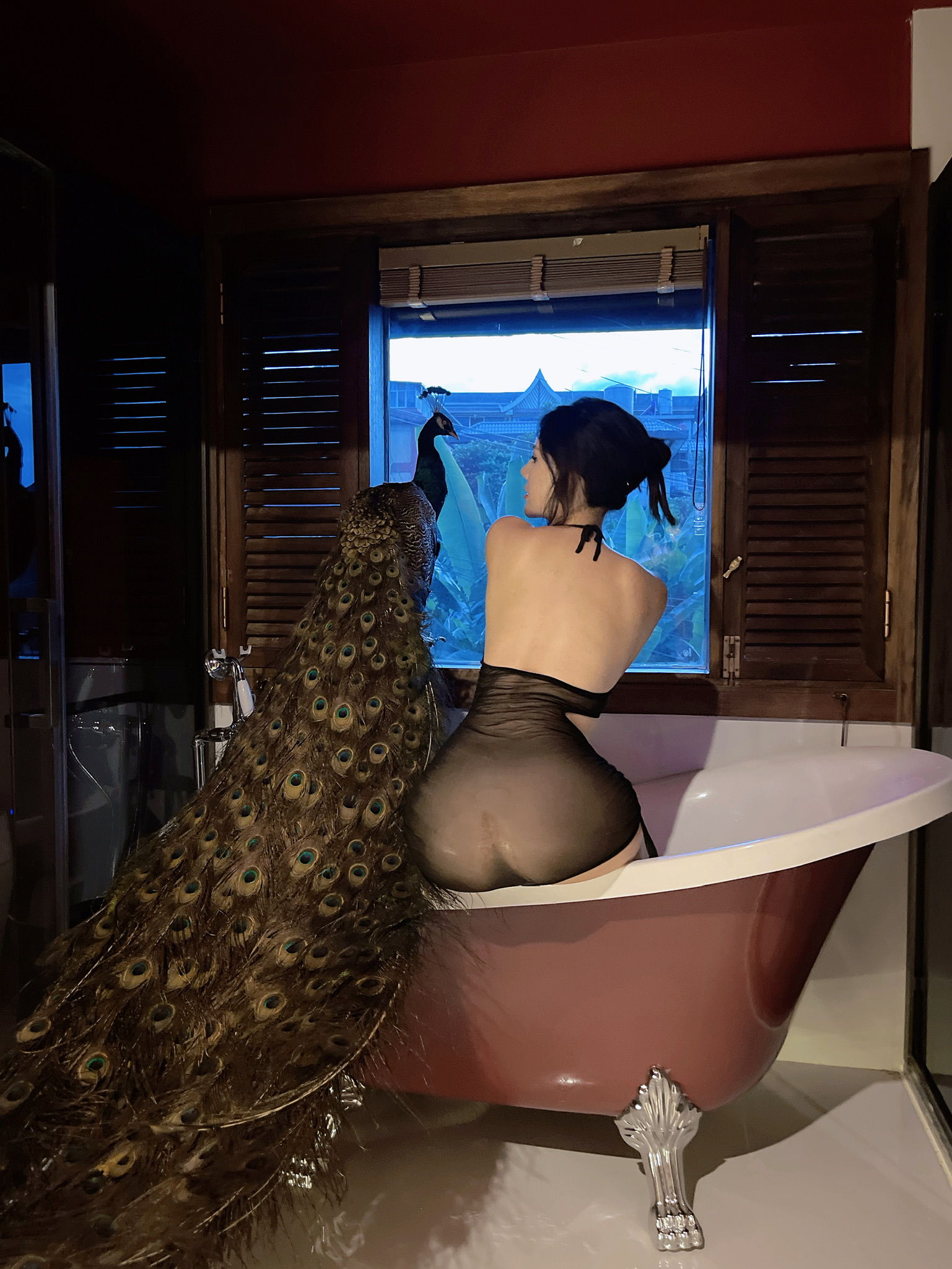 美女模特Azhua19970(阿朱啊) -   孔雀（19P）