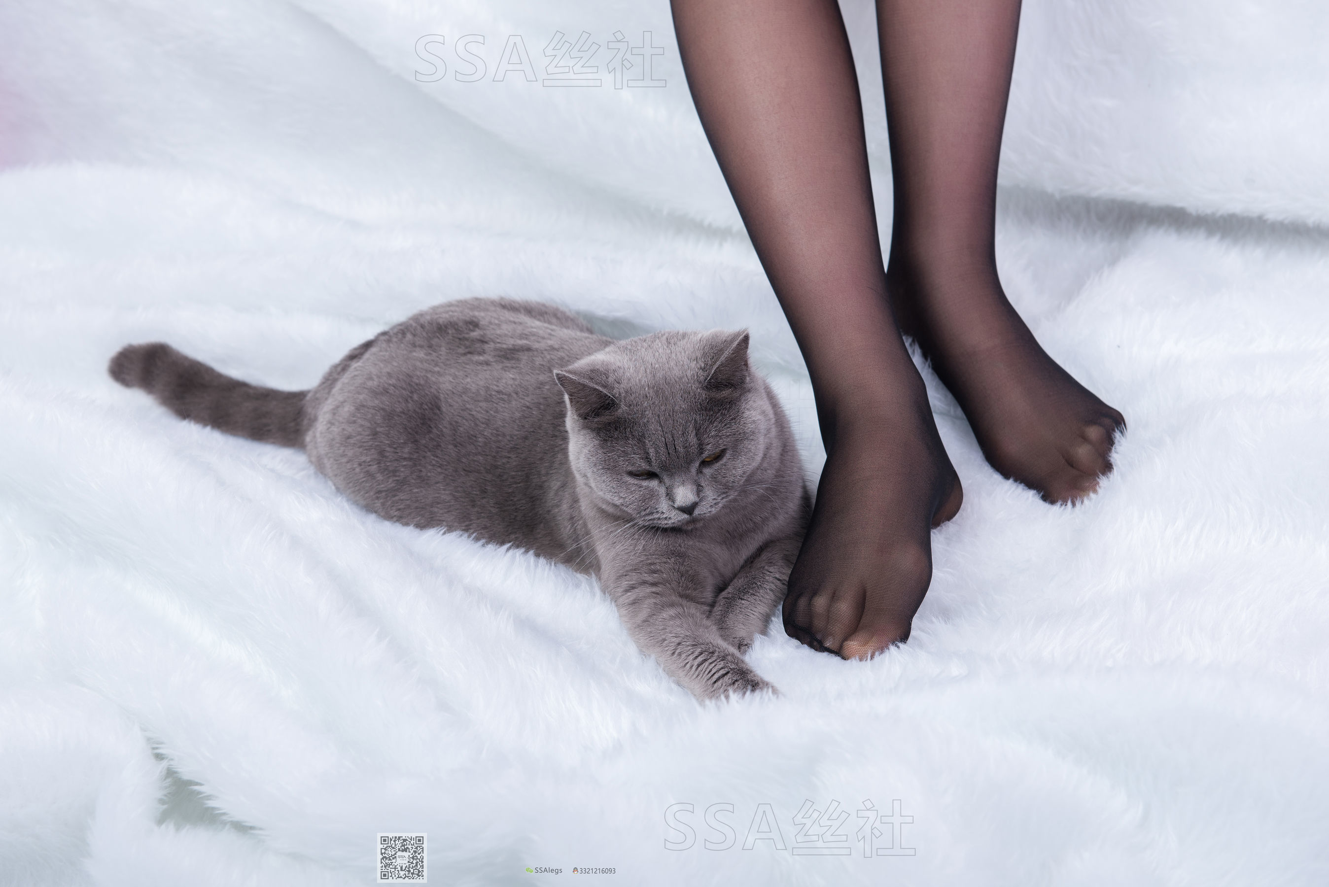 [SSA丝社]超清写真 No.069 云云 旗袍（126P）