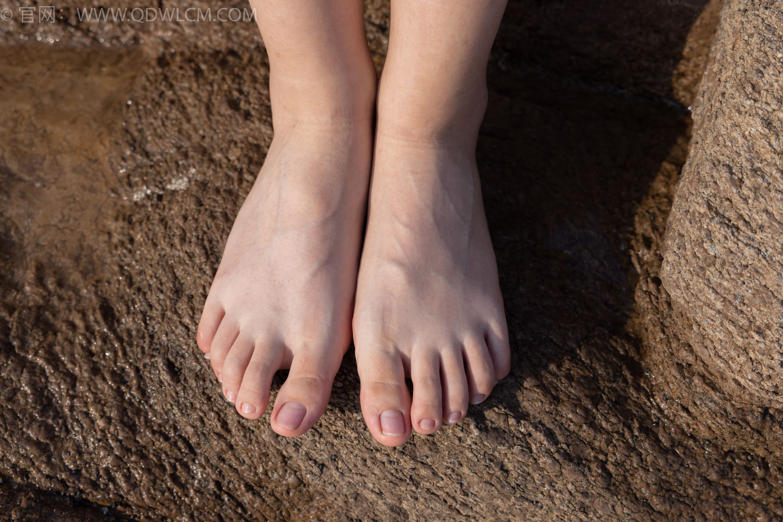 物恋传媒 No.1567 美兔-海边的风（148P）