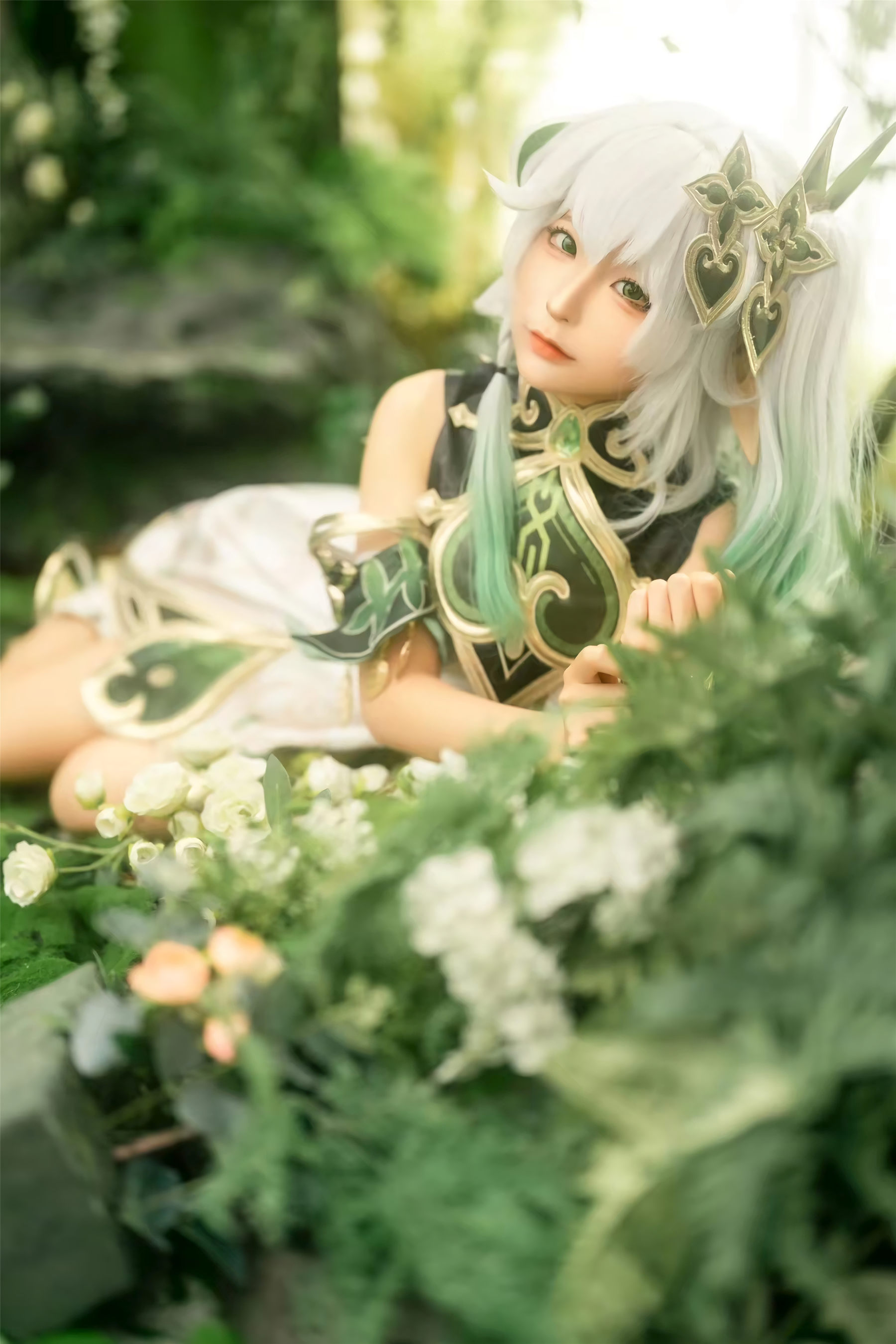 动漫博主蠢沫沫 - 大慈树王（25P）