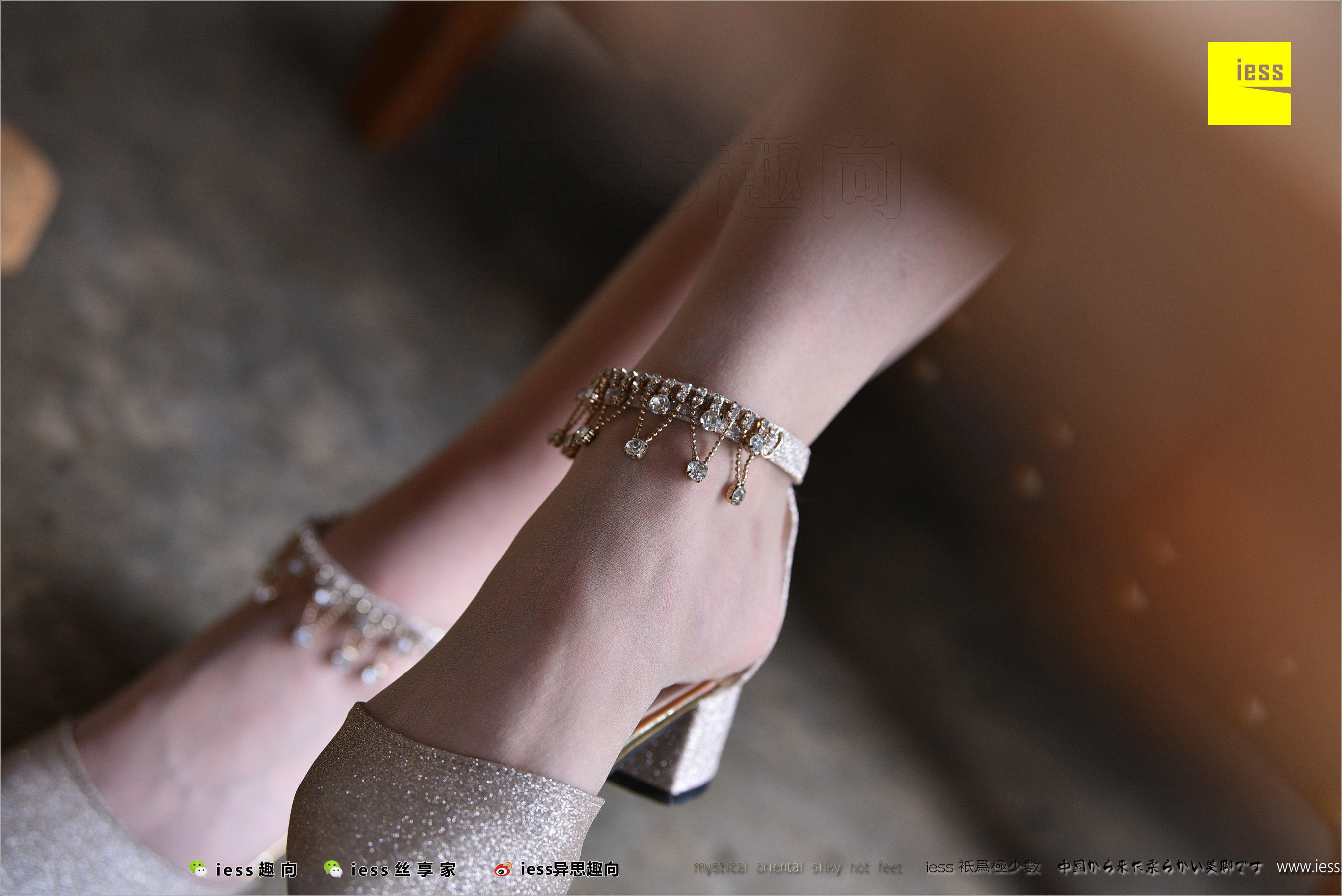 暖暖《长丝和10片天然粉红的花瓣》 [异思趣向IESS] 丝足便当217（99P）