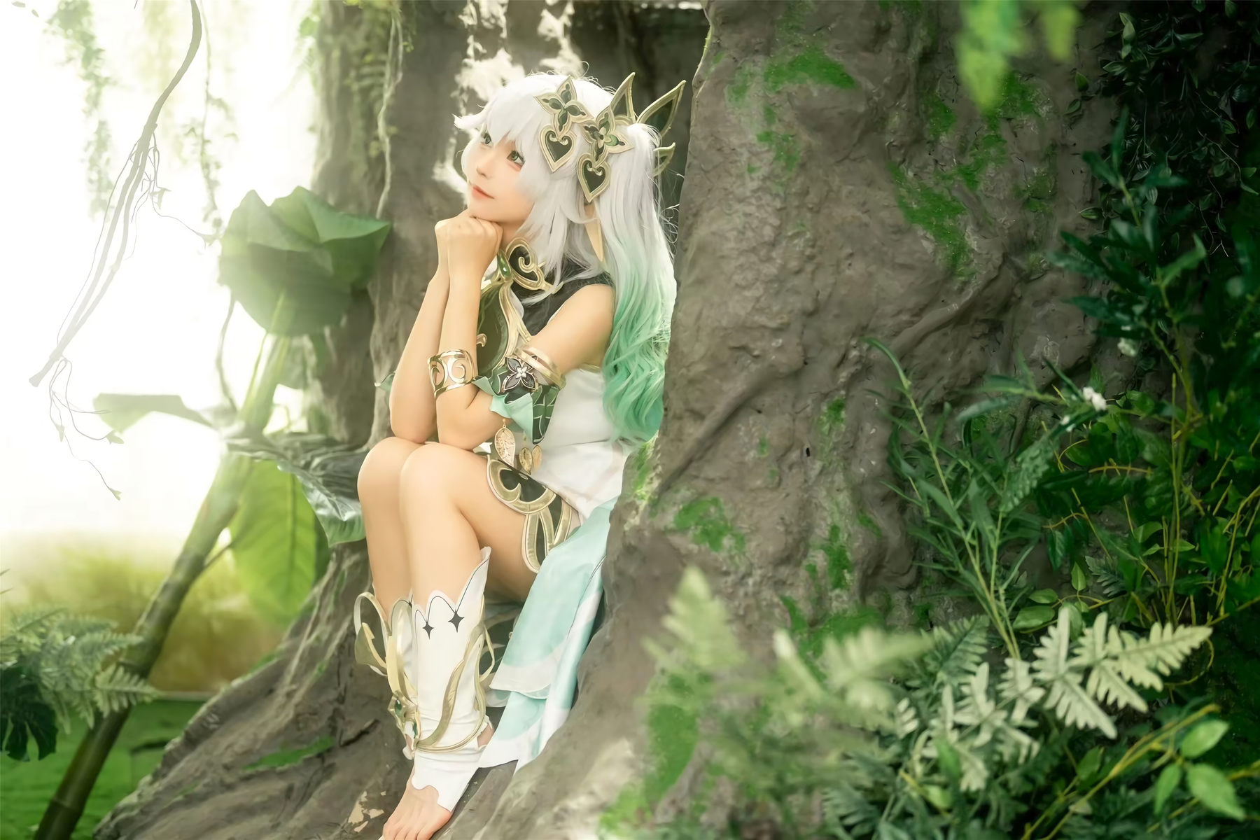 动漫博主蠢沫沫 - 大慈树王（25P）