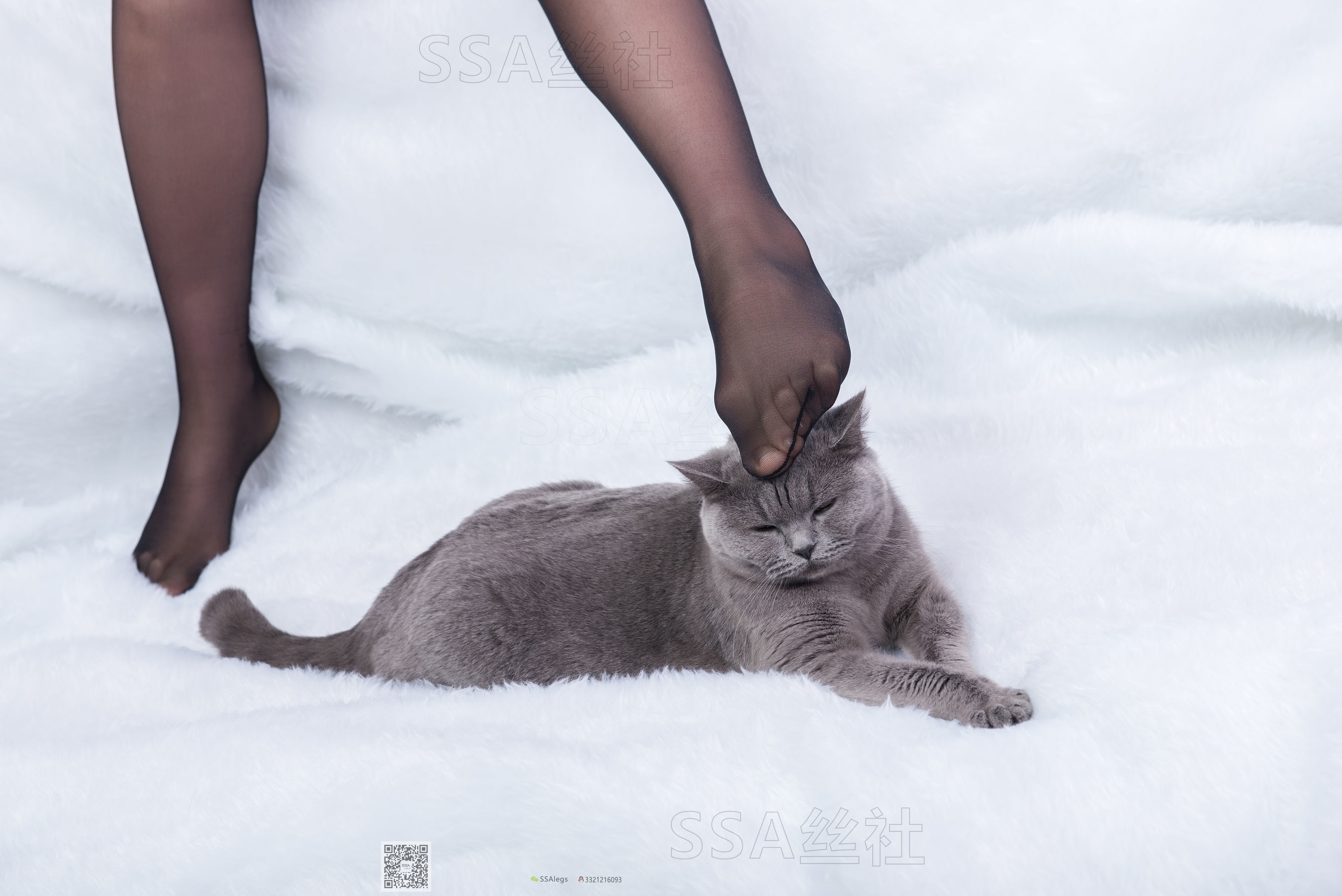 [SSA丝社]超清写真 No.069 云云 旗袍（126P）