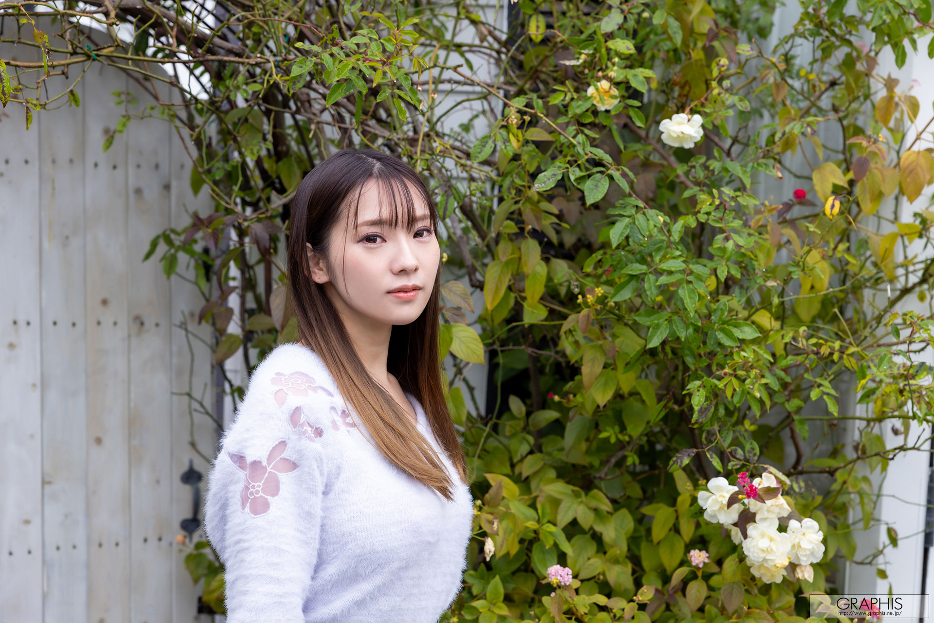 [Graphis] Gals.505 Uta Hayano はやのうた Lovely Angel（36P）