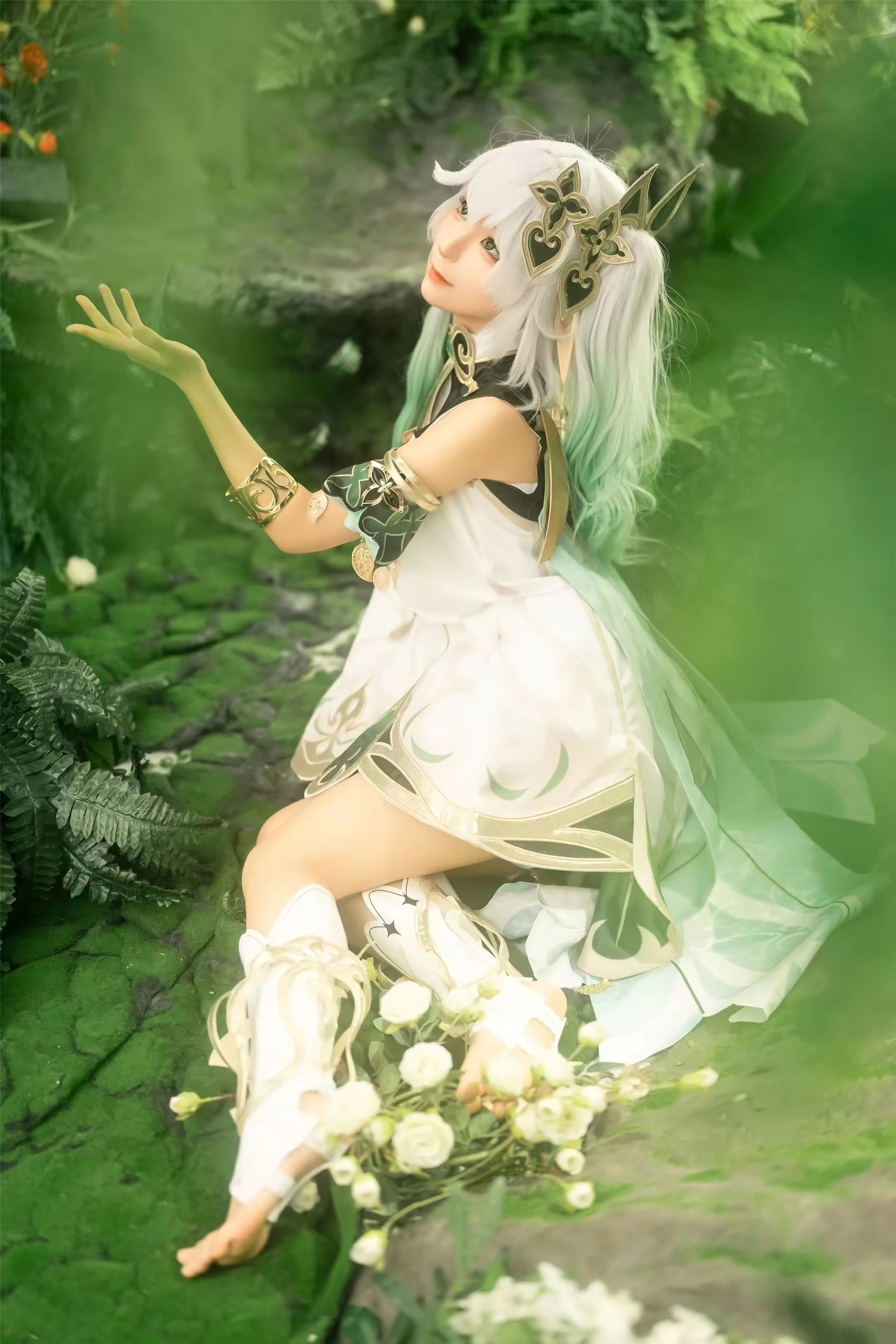 动漫博主蠢沫沫 - 大慈树王（25P）