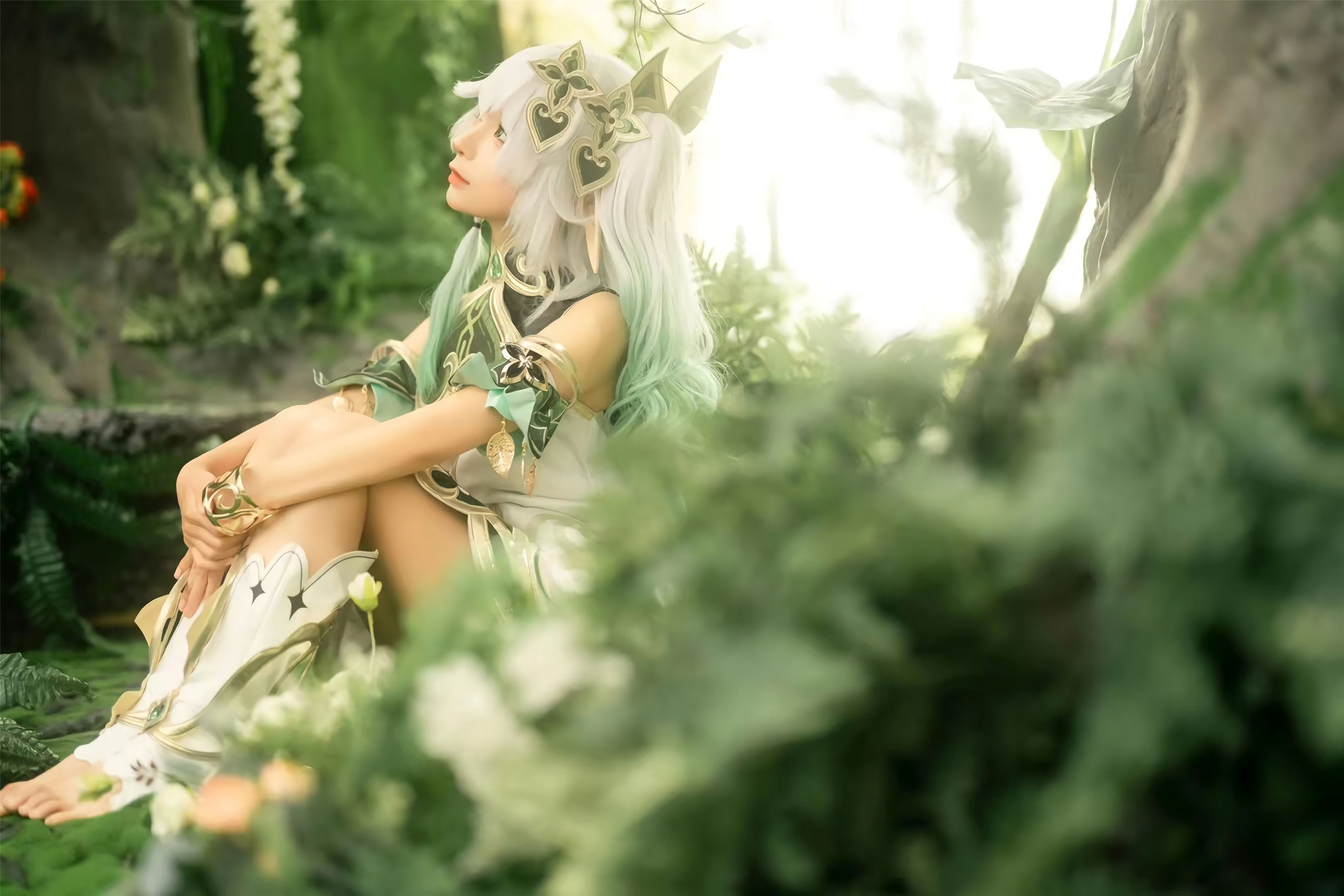 动漫博主蠢沫沫 - 大慈树王（25P）