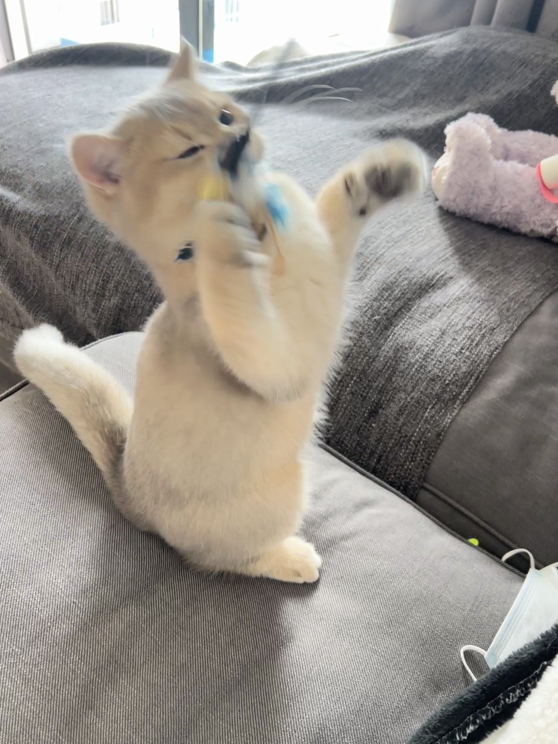 萌妹子眼酱大魔王w 2022年09月fantia会员合集（37P）