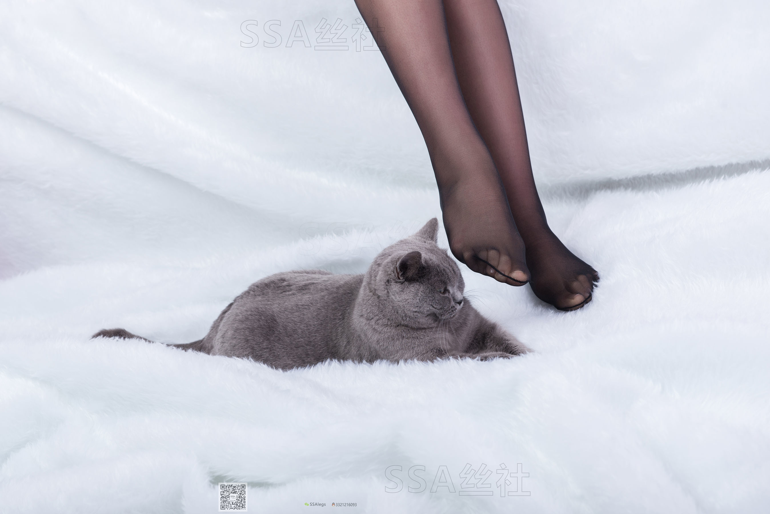 [SSA丝社]超清写真 No.069 云云 旗袍（126P）