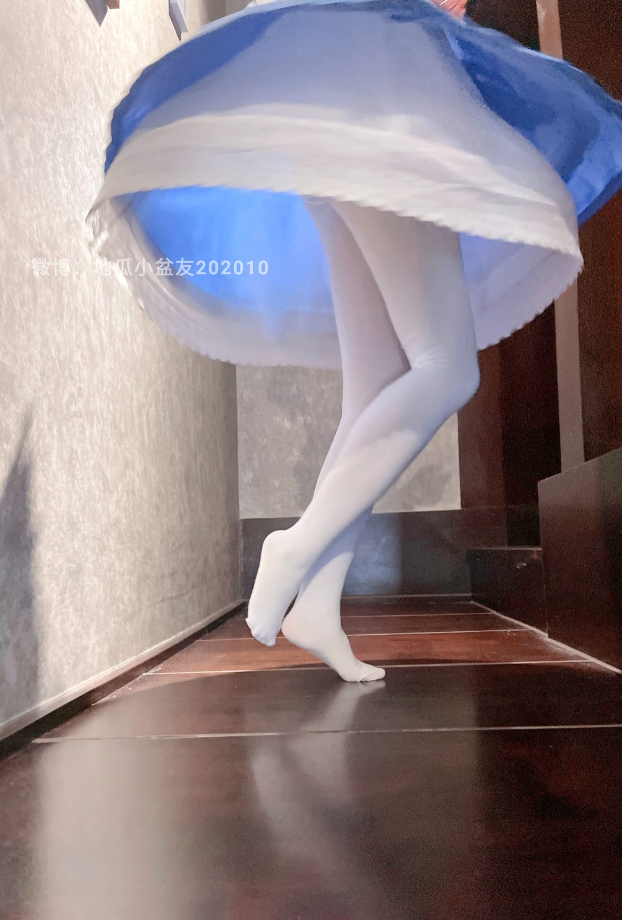 地瓜小盆友 - 蓝白女仆（20P）